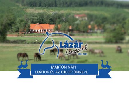 Fiesta de San Martín en el Parque Lázár